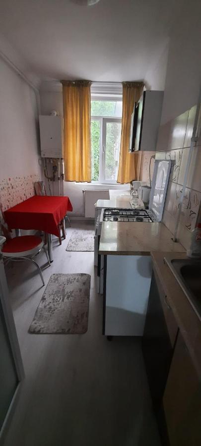 Apartament La Denis Bîrlad Zewnętrze zdjęcie