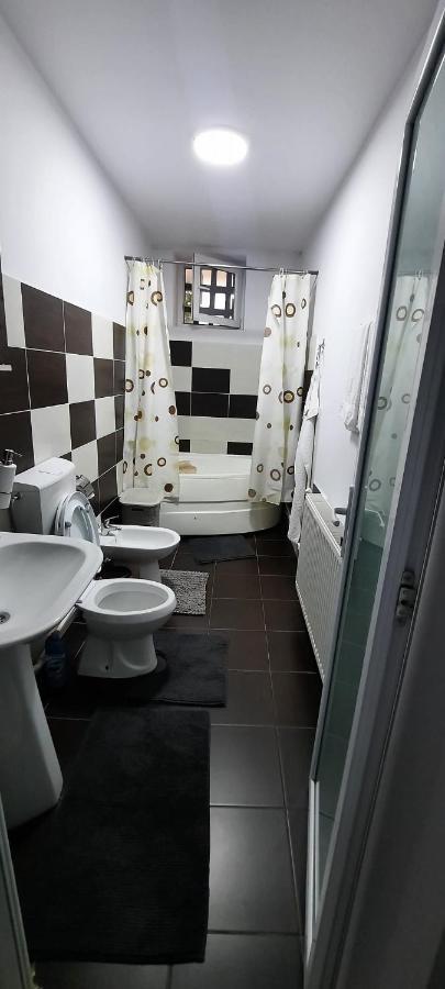 Apartament La Denis Bîrlad Zewnętrze zdjęcie
