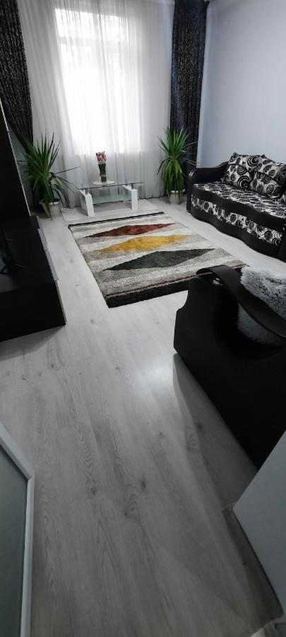 Apartament La Denis Bîrlad Zewnętrze zdjęcie